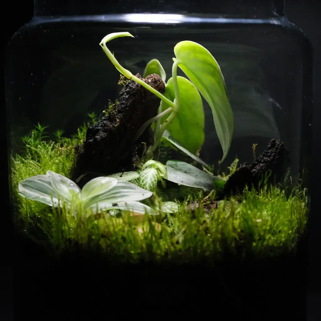 DSCF1110.webp