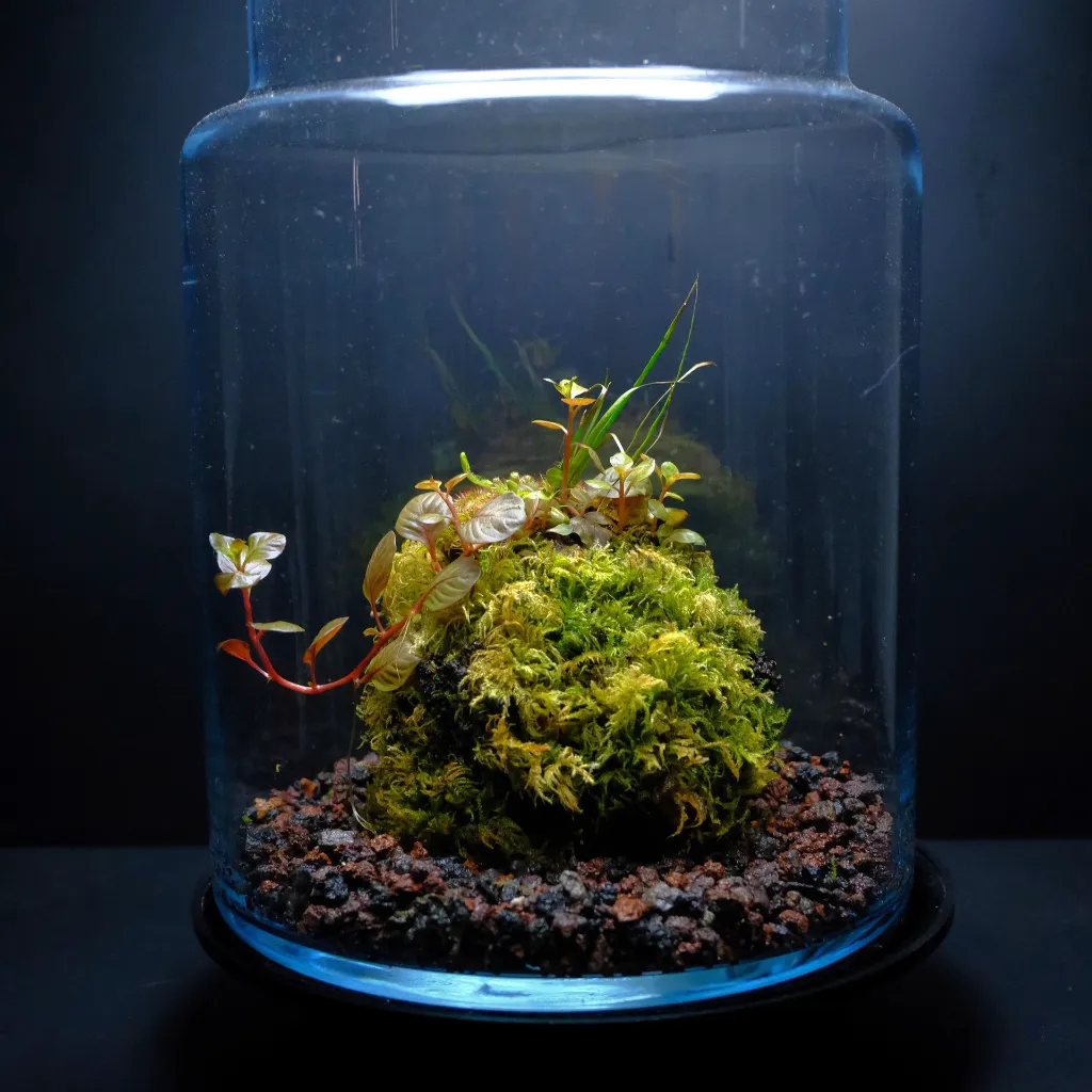 DSCF7810.webp