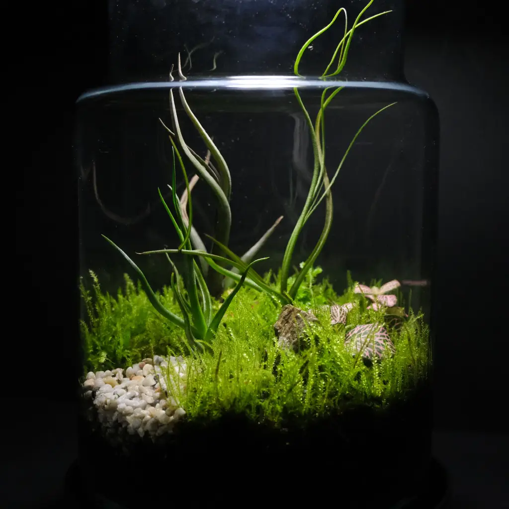 DSCF1086.webp