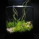 DSCF1086.webp