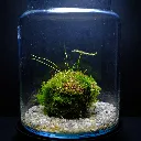DSCF7623.webp