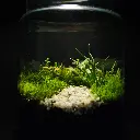 Kokedarium 18 : Yama no Kaze
