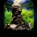 Kokedarium 19 : Yama no Kage