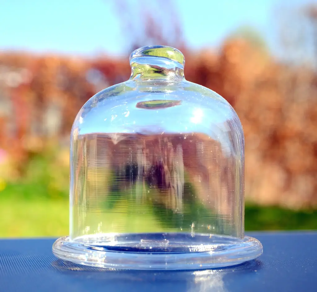 Cloche en verre Ø10cm avec nanogel