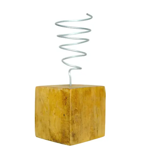 Support en chêne de ↑5cm avec spirale métallique pour Tillandsia