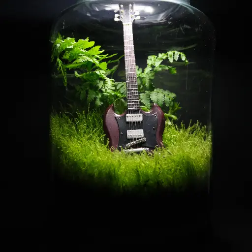 Guitar Hero